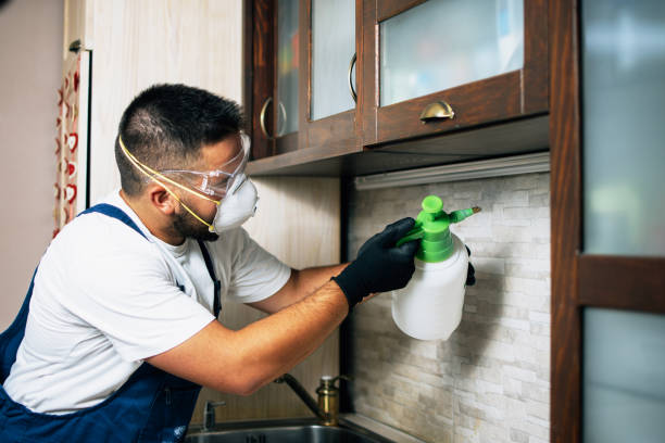 Best Termite Control Services  in Fair Lawn, NJ