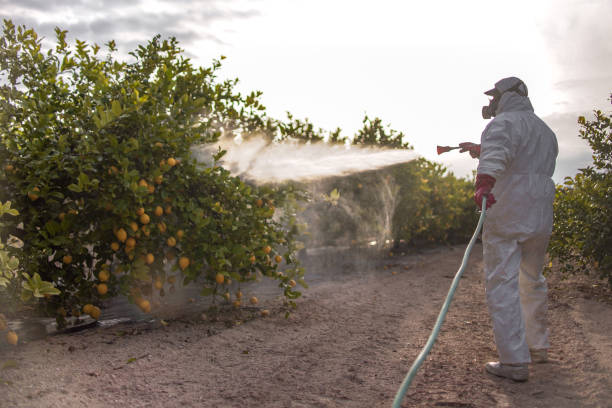 Reliable Fair Lawn, NJ Pest Control Solutions