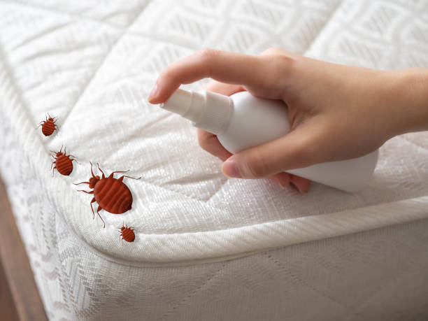 Best Best Pest Control Companies  in Fair Lawn, NJ