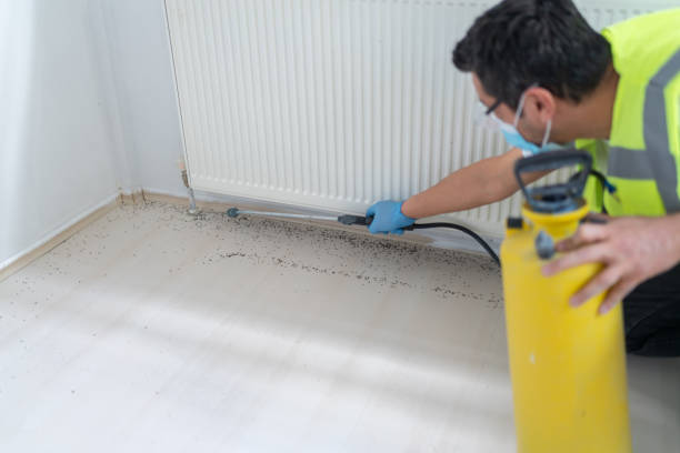 Reliable Fair Lawn, NJ Pest Control Solutions
