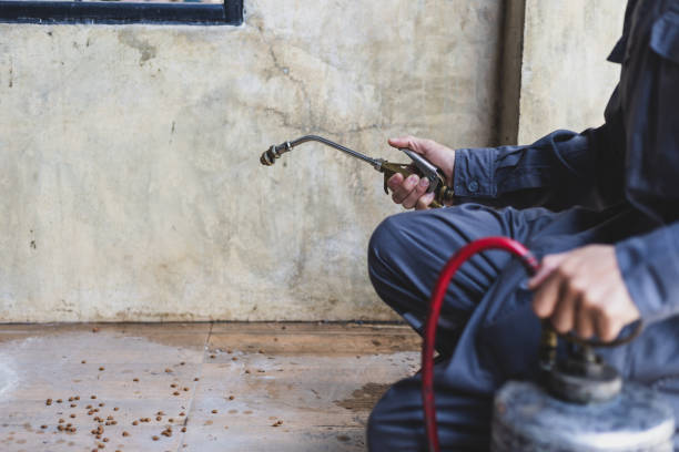 Best Rat Extermination Near Me  in Fair Lawn, NJ